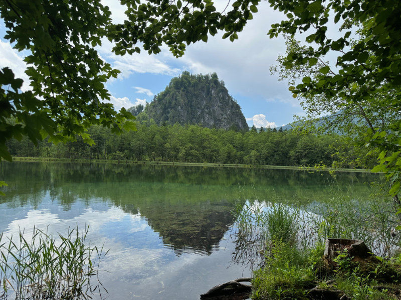 Almsee