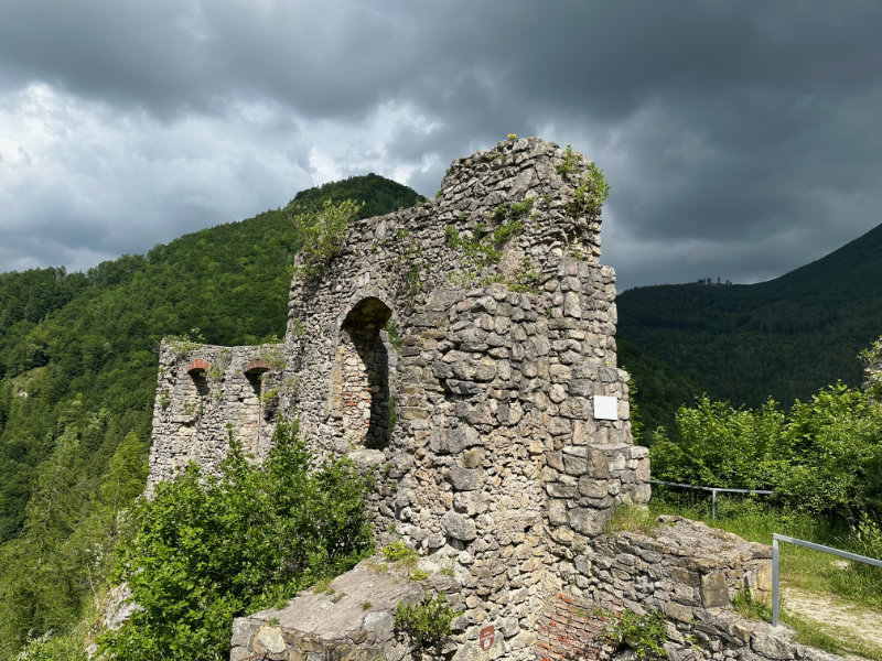 Ruine Scharnstein