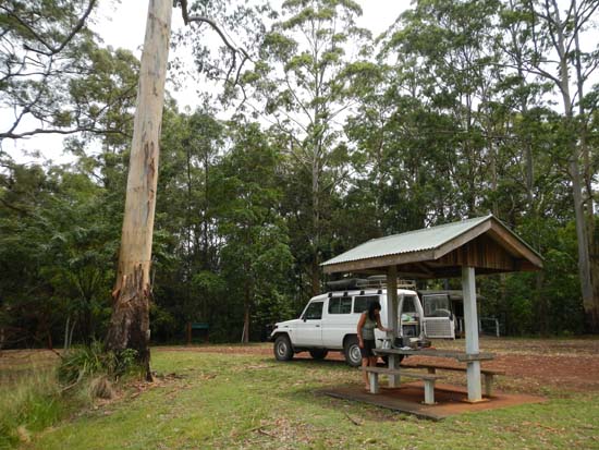 Richmond Range NP