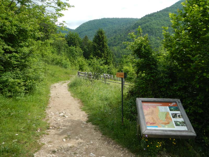 Stara Fuzina