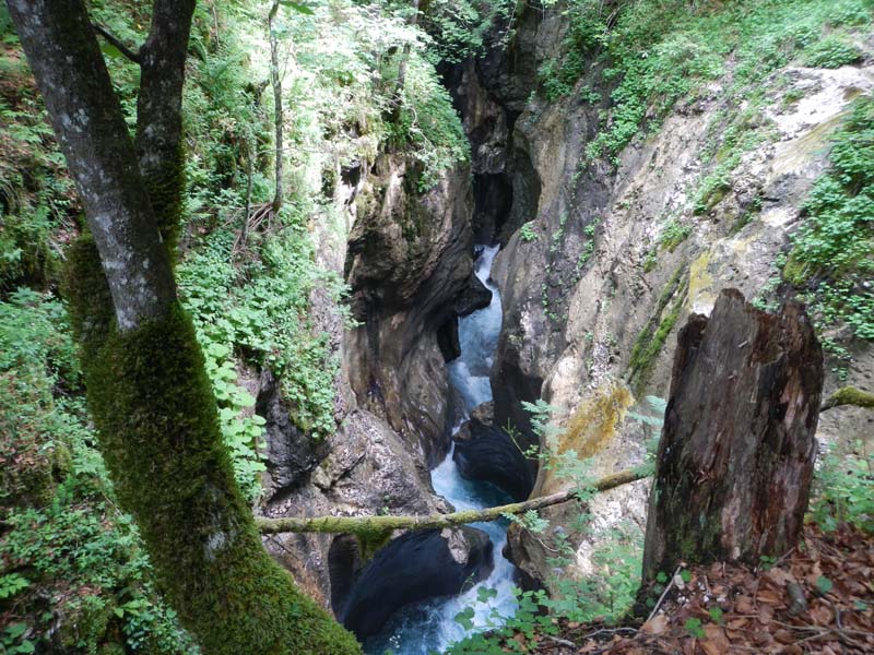 Mostnica Korita