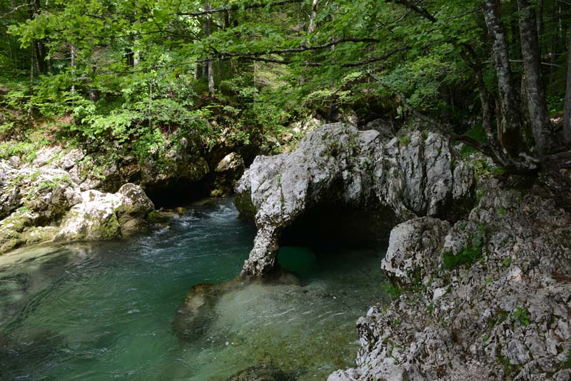 Mostnica Korita