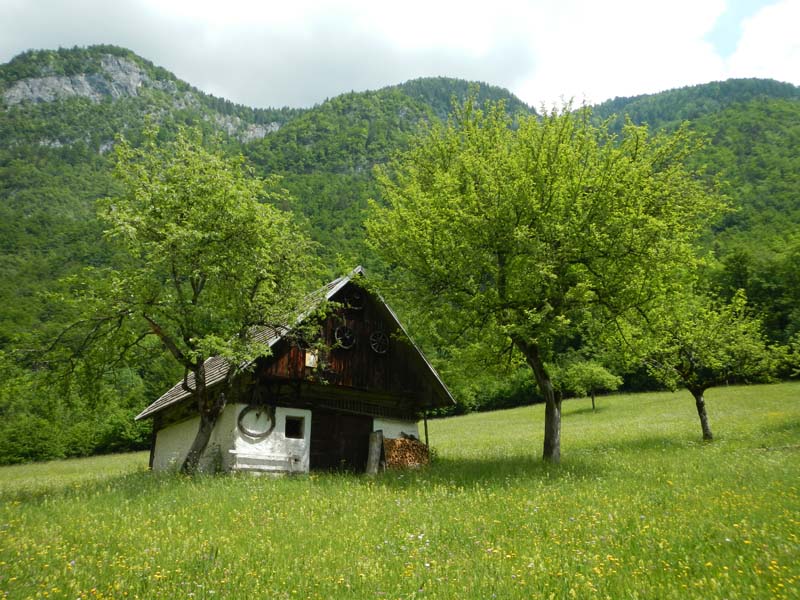 Dolina Voje
