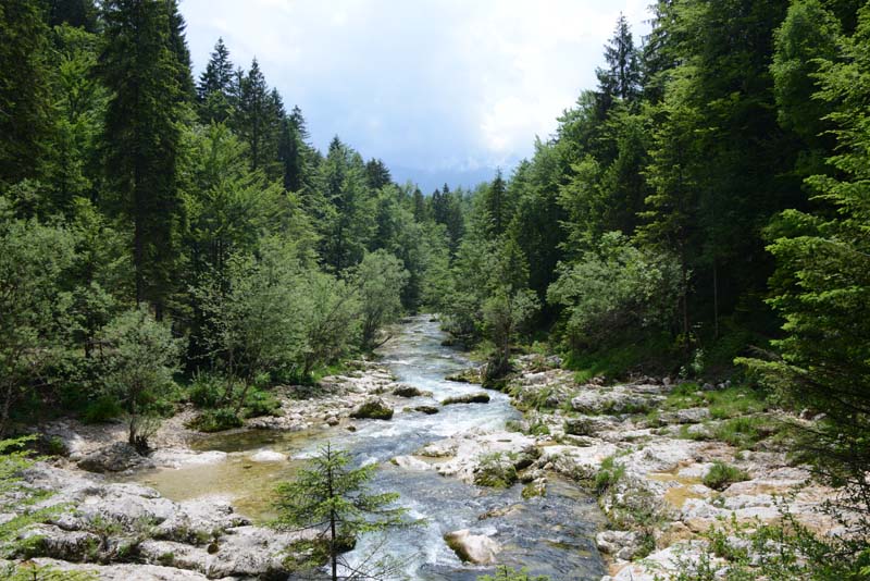 Mostnica Korita