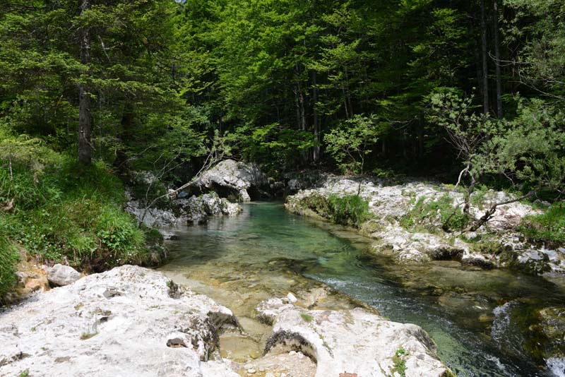 Mostnica Korita