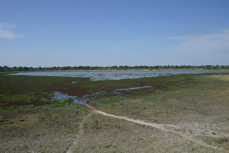 Dombo Hippo Pools