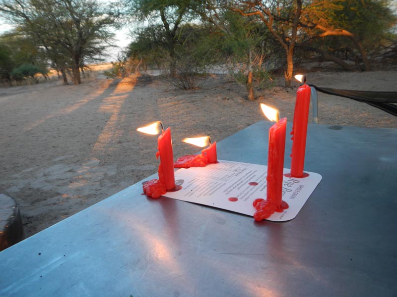 Christmas in the Kalahari