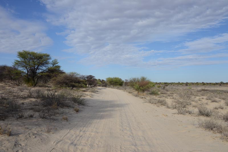 Nossob-Mabuasehube Through Road