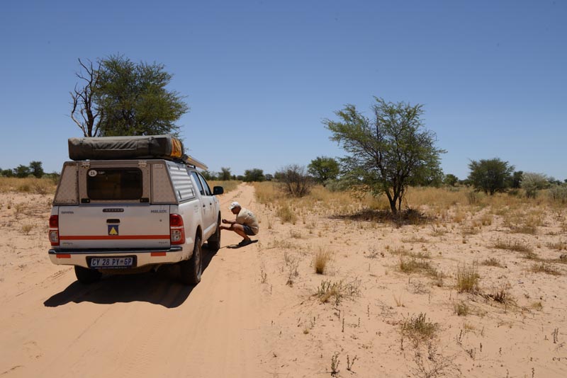 Nossob-Mabuasehube Through Road