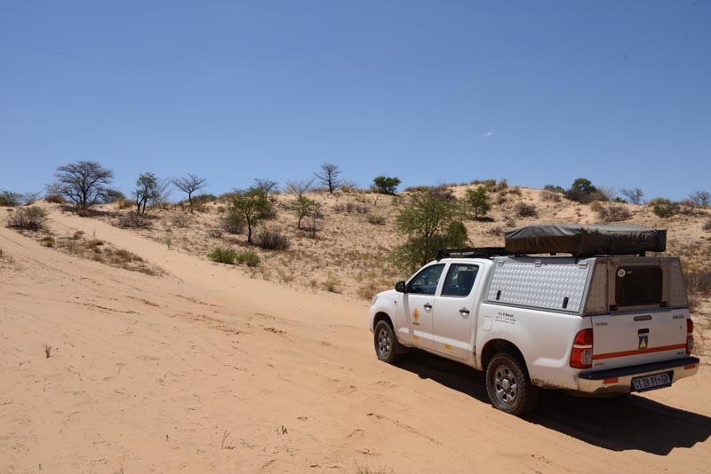 Nossob-Mabuasehube Through Road