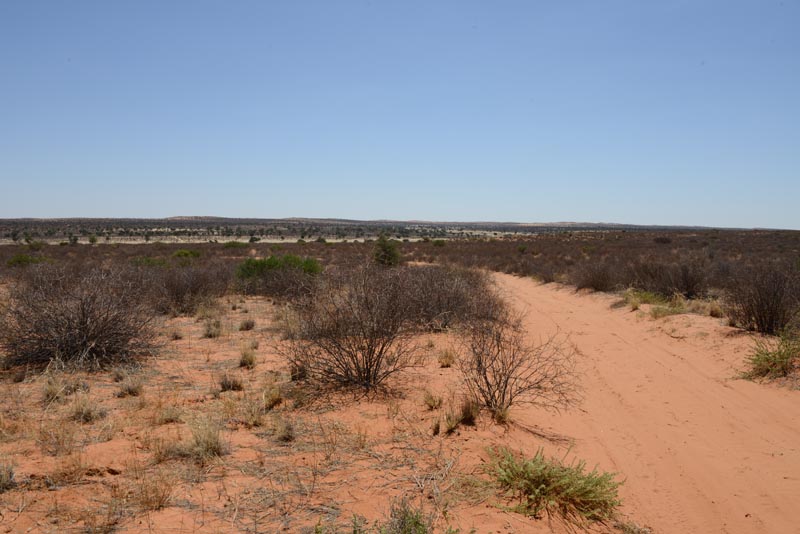 Kgalagadi Transfrontier Park