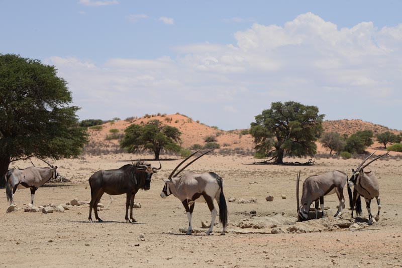 Kij Kij Waterhole