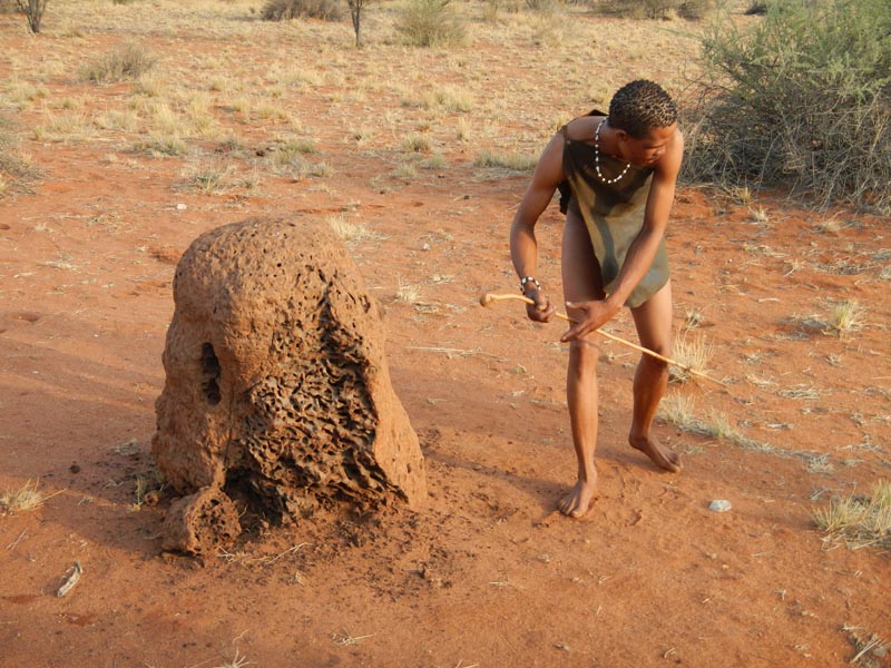 Bagatelle Kalahari Game Ranch
