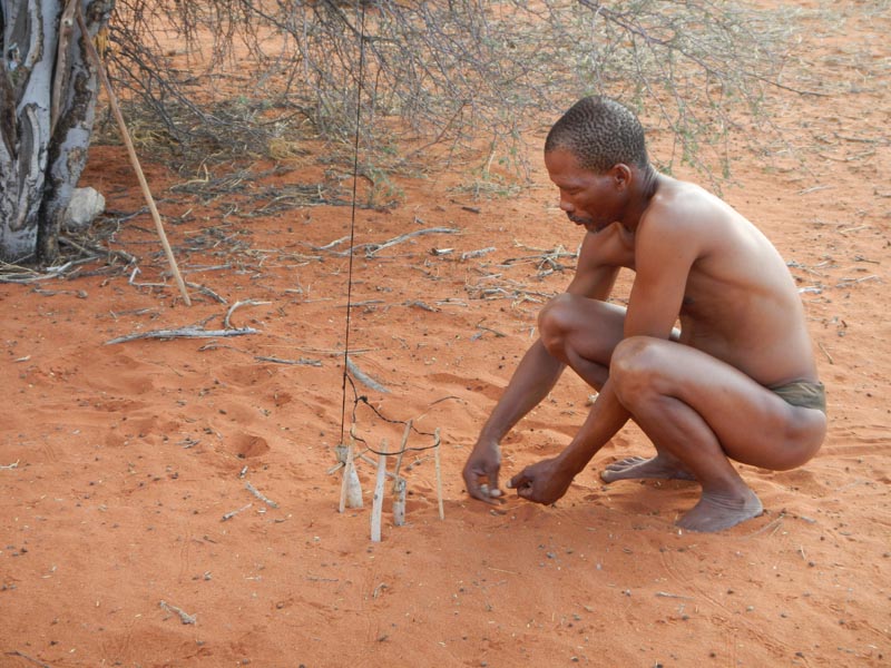 Bagatelle Kalahari Game Ranch