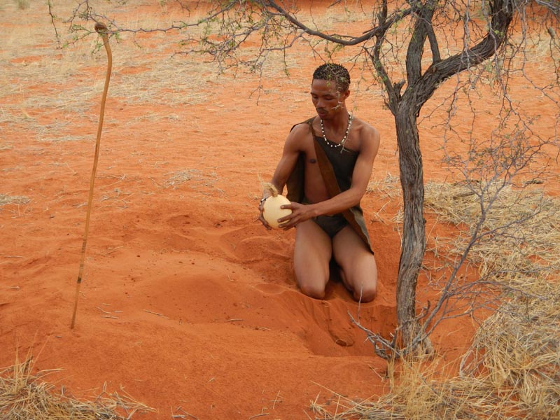 Bagatelle Kalahari Game Ranch