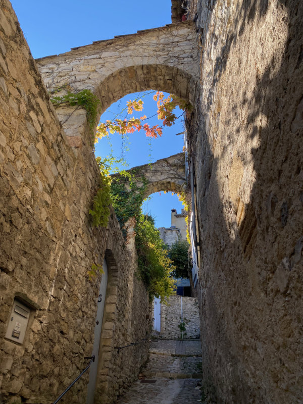 Vaison-la-Romaine