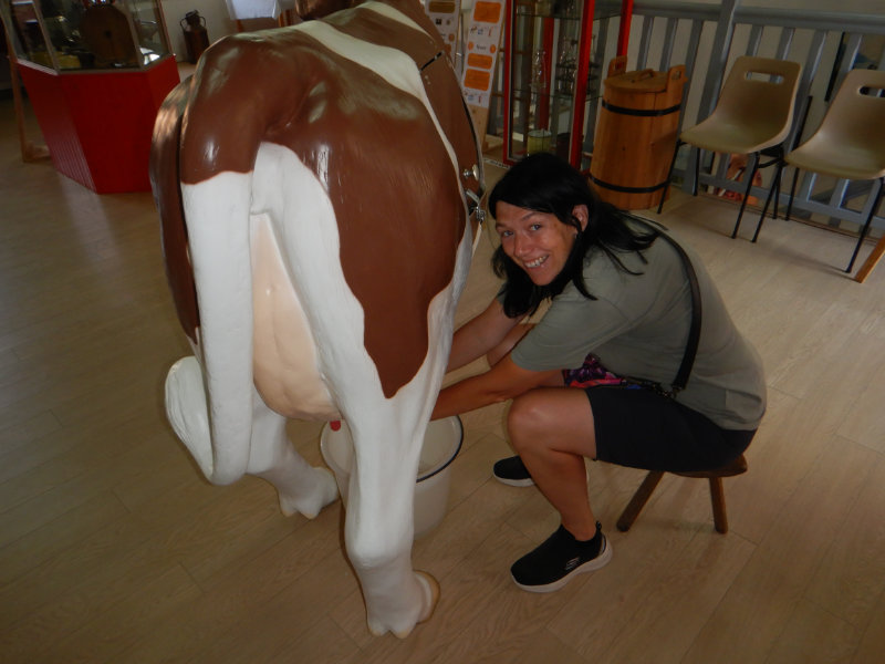 Maison de la Fourme d'Ambert