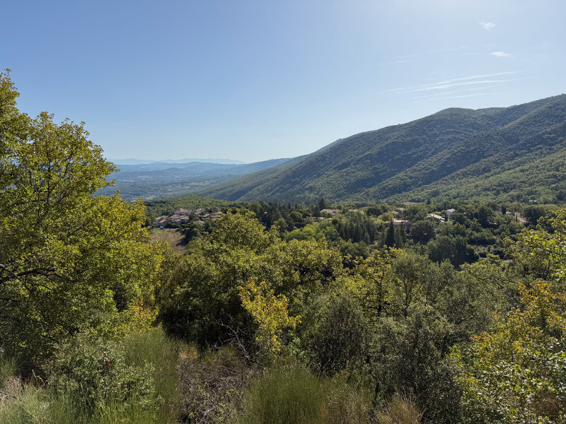Aribeau