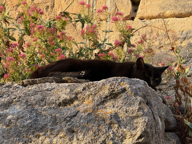 Saignon