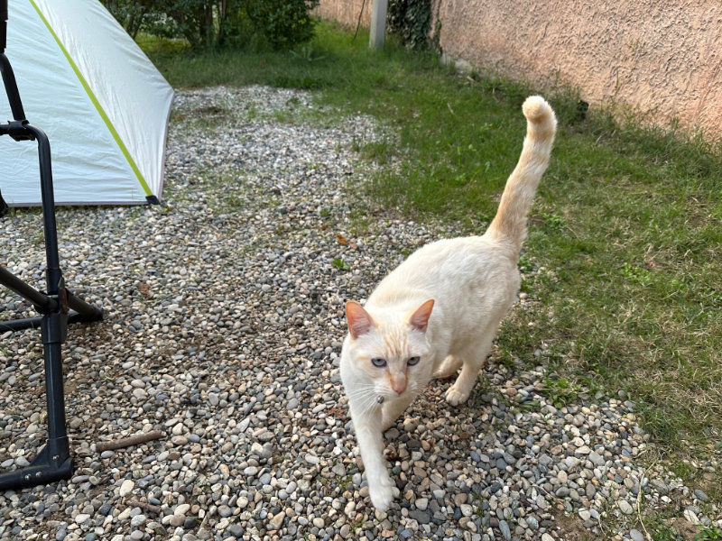 Camping du Th��tre Romain