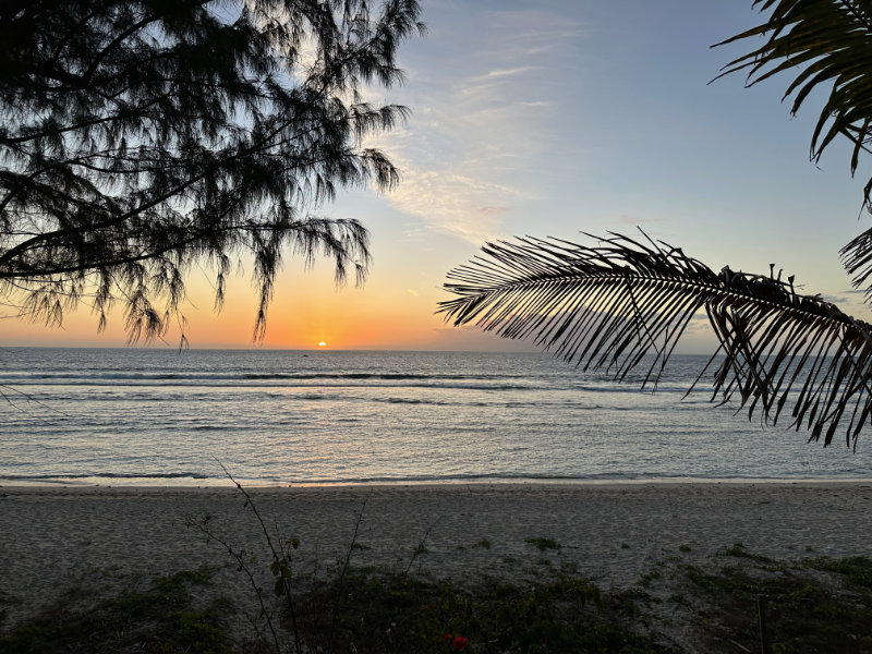 La Reve a la Plage La Reve a la Plage