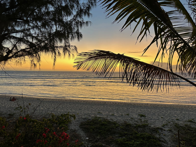 La Reve a la Plage La Reve a la Plage