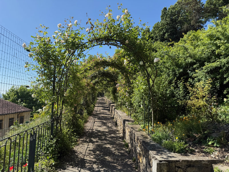 Jardin du Rosarie, Lyon