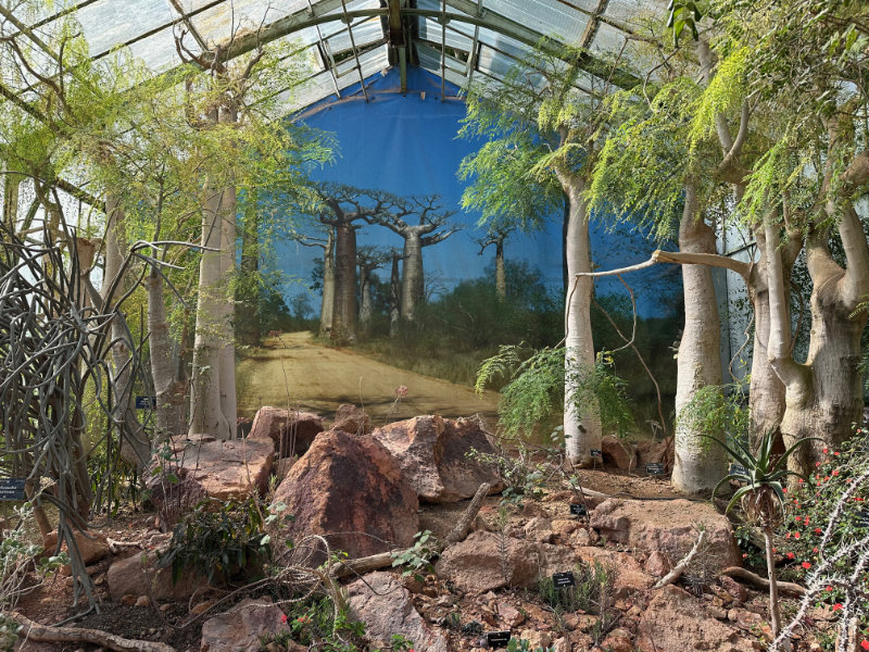 Parc de la T�te d'Or