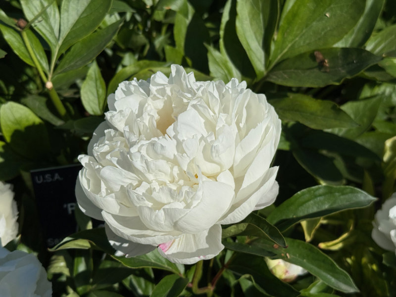 Parc de la T�te d'Or