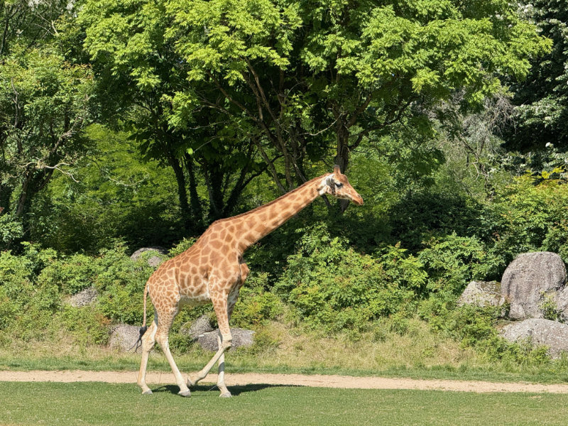 Parc de la T�te d'Or