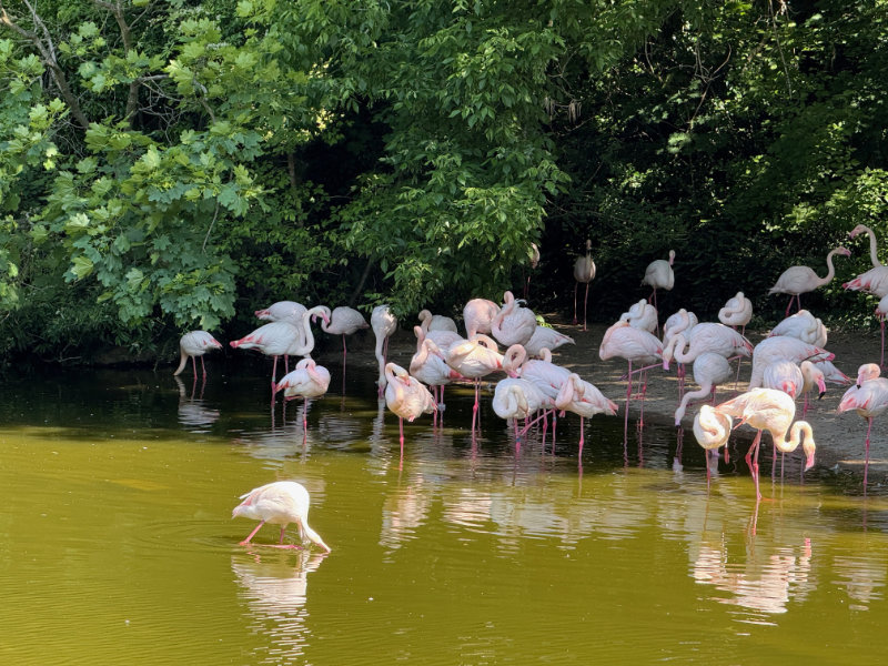 Parc de la T�te d'Or