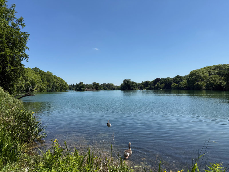 Parc de la T�te d'Or