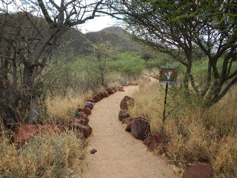 Chilala Campsite, Okonjima