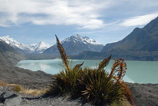 Tasman Glacier