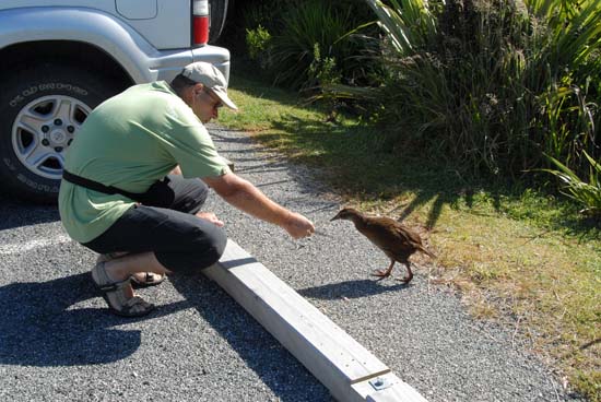 Weka