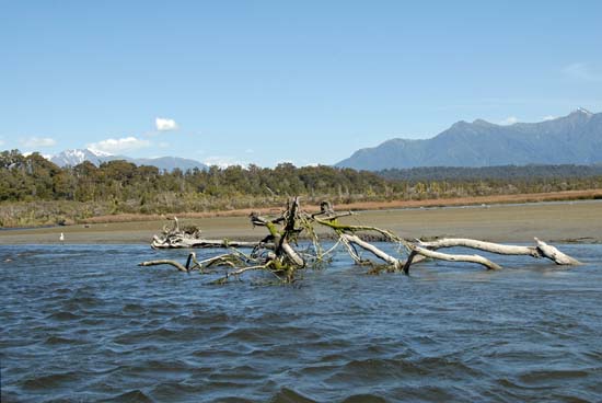 Okarito Lagoon