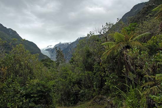 Franz Josef Glacier