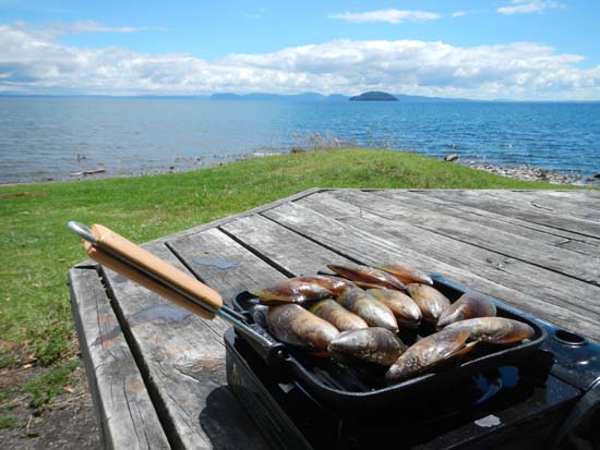 Lake Taupo