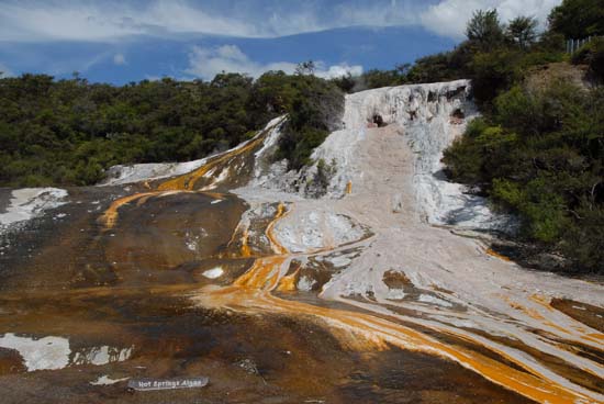 Orakei Korako