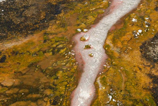 Orakei Korako