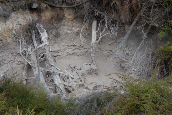 Orakei Korako