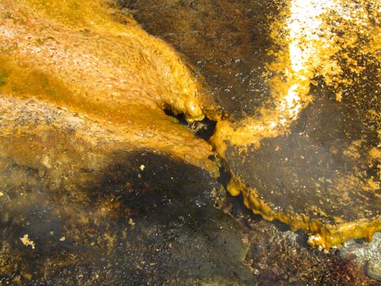 Orakei Korako