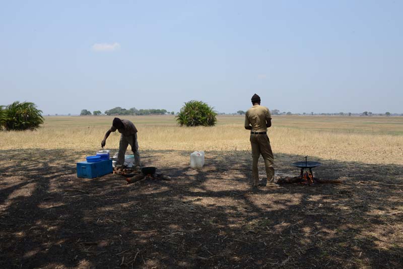 Busanga Plains