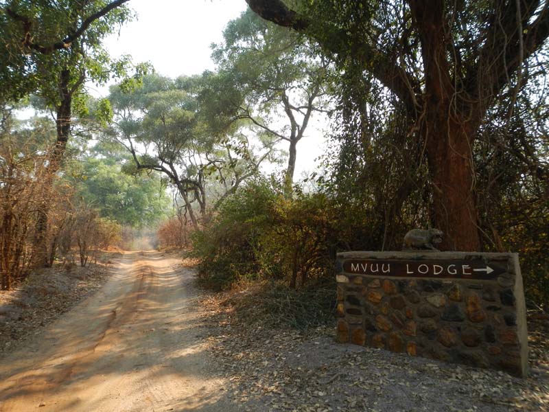 Mvuu Lodge