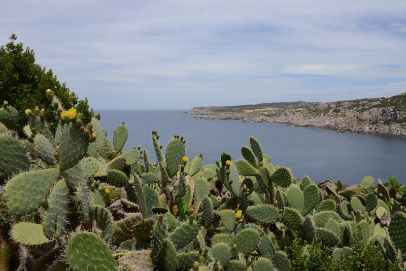 Santa Teresa Gallura