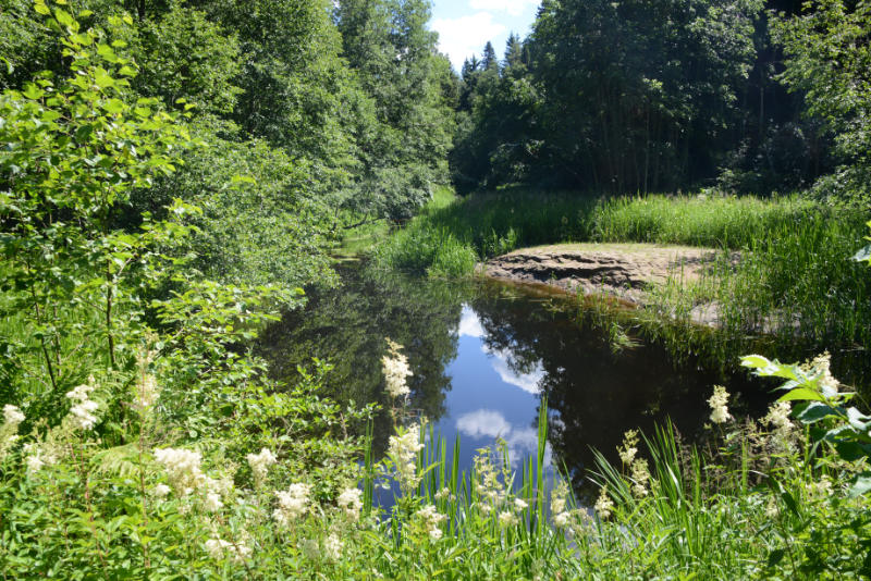 Ljuster�n