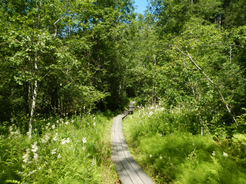 S�terdalen