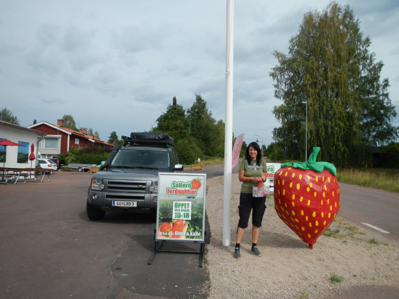 Sollern