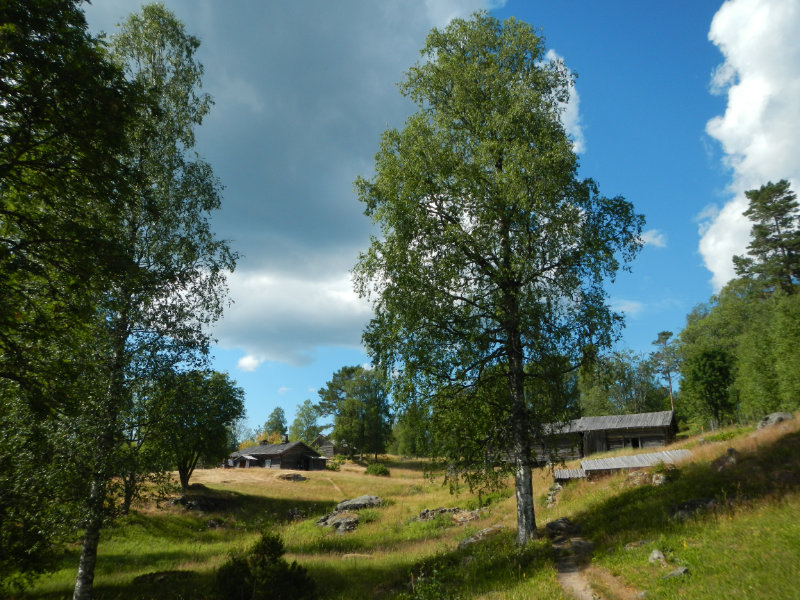 Ritamki