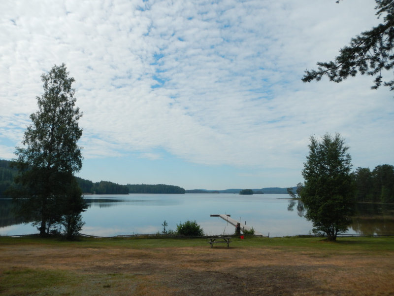 Stor-Treen